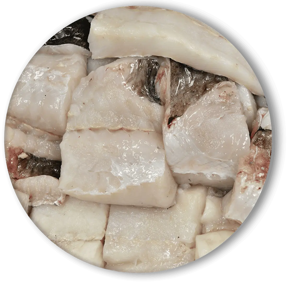 pescado preparado de frescos y congelados